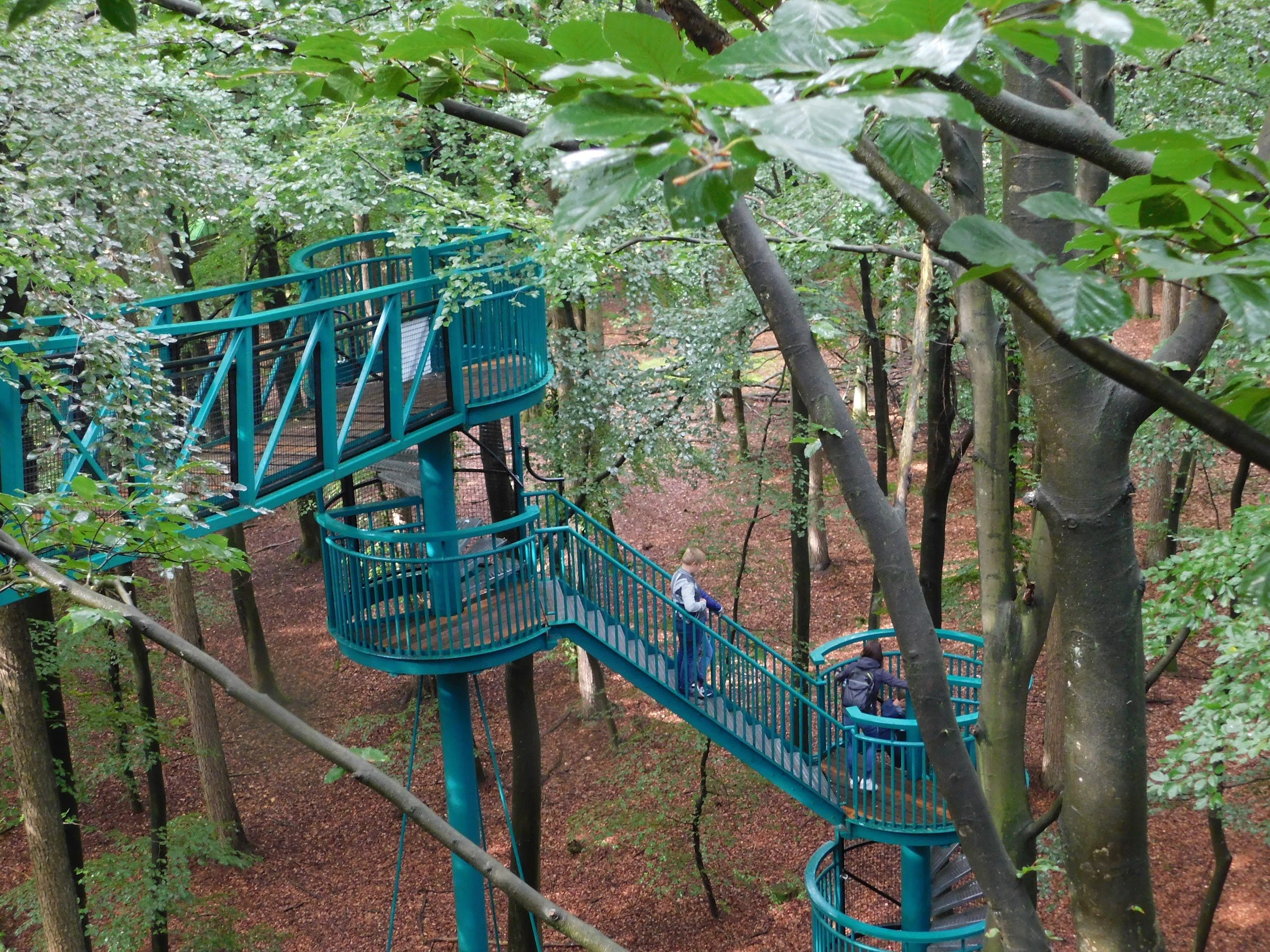 Outdoor Center Boomkroonpad (Boomkroonpad treetop walkway)